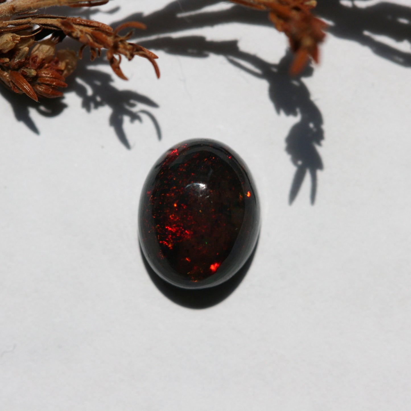 1.8ct Black Opal - Oval Cabochon - 9.9x8mm