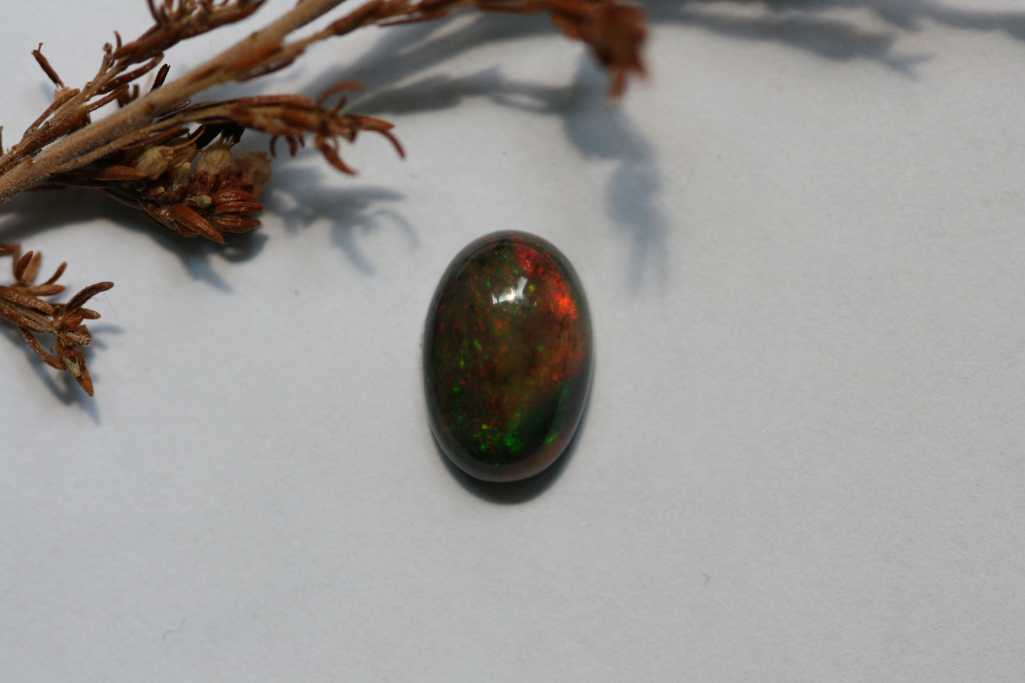 1.6ct Black Opal - Oval Cabochon - 10.2x7mm