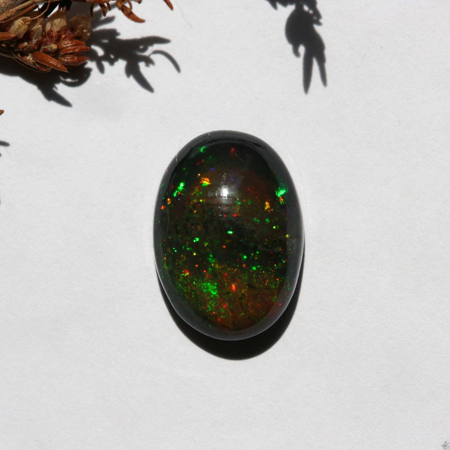3.5ct Black Opal - Oval Cabochon - 13.9x10mm