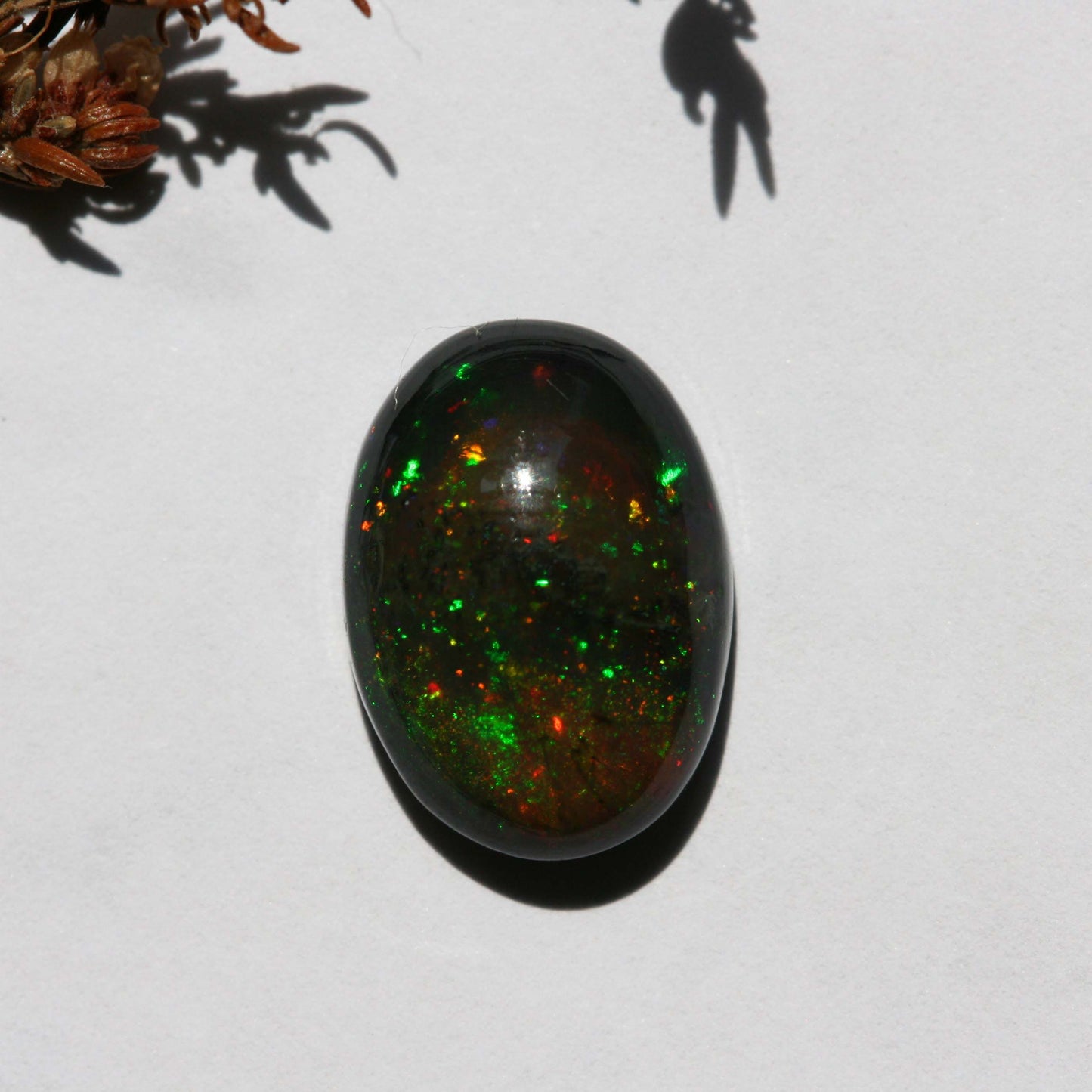 3.5ct Black Opal - Oval Cabochon - 13.9x10mm