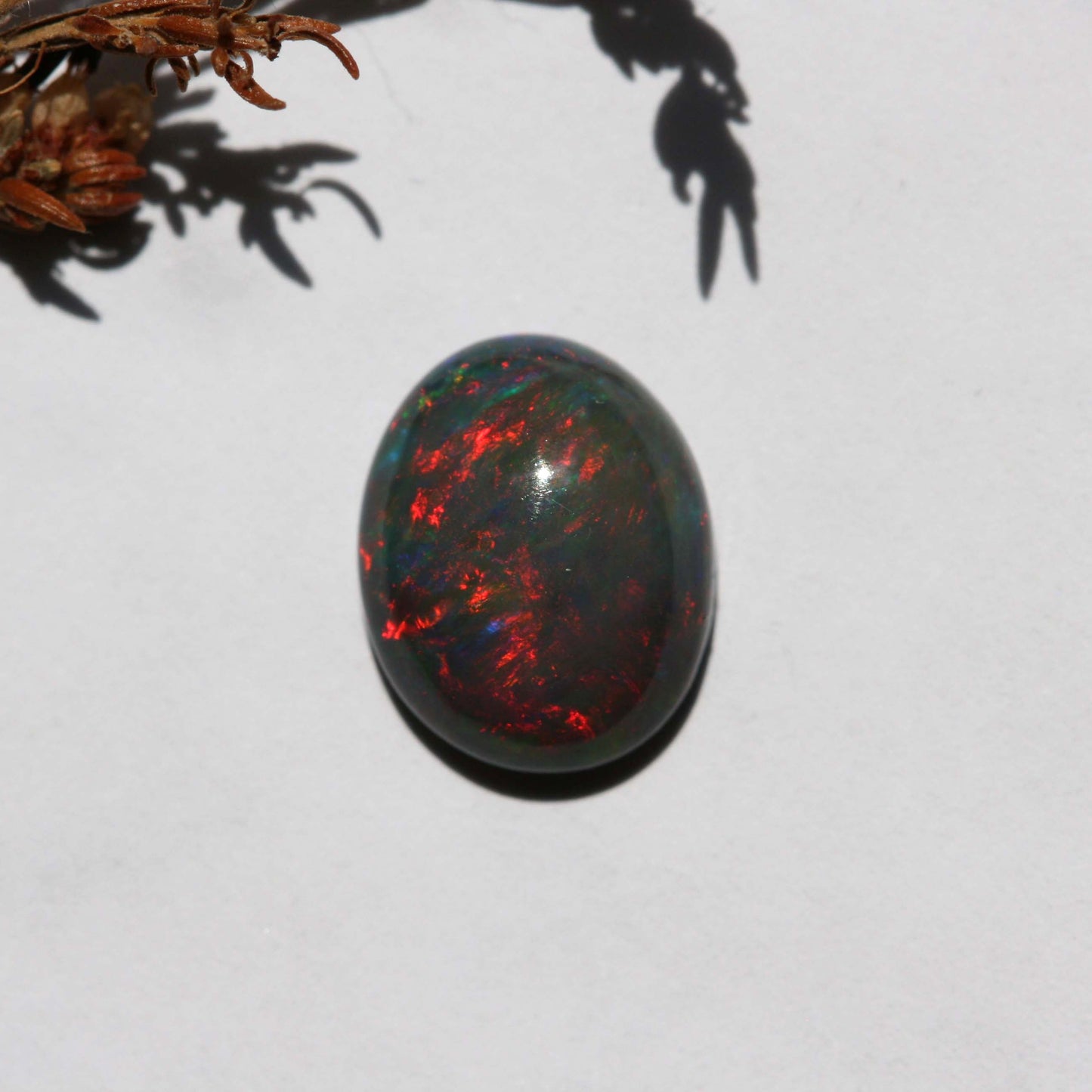 2ct Black Opal - Oval Cabochon - 11.2x9mm
