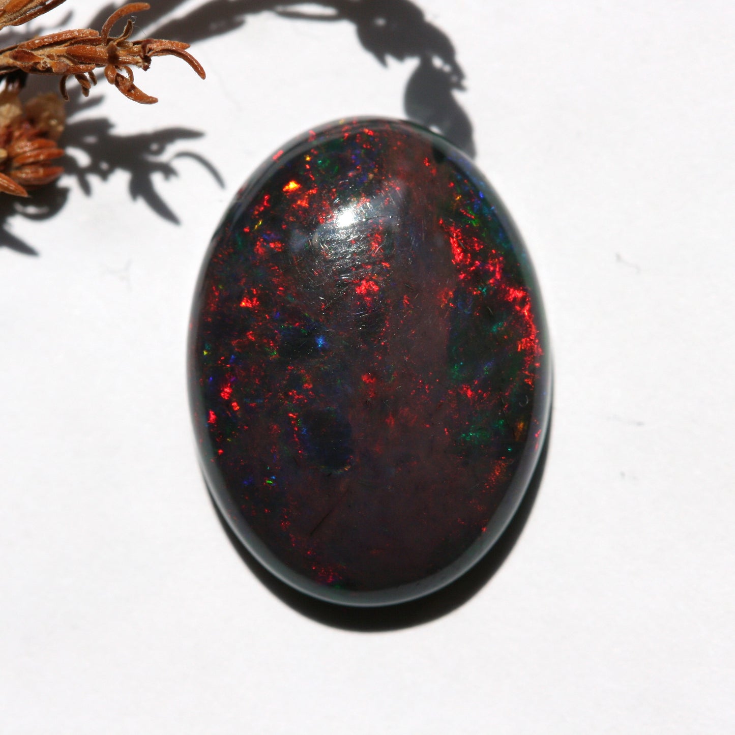 6.7ct Black Opal - Oval Cabochon - 18.4x13.6mm