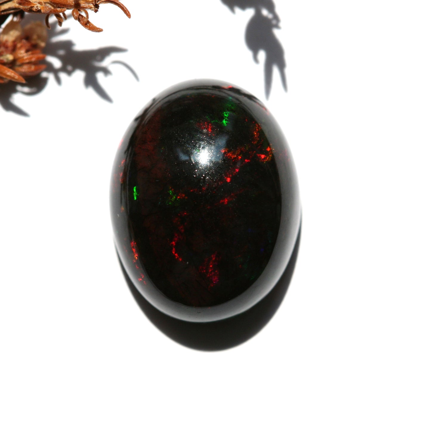 6.5ct Black Opal - Oval Cabochon - 15.8x12.3mm