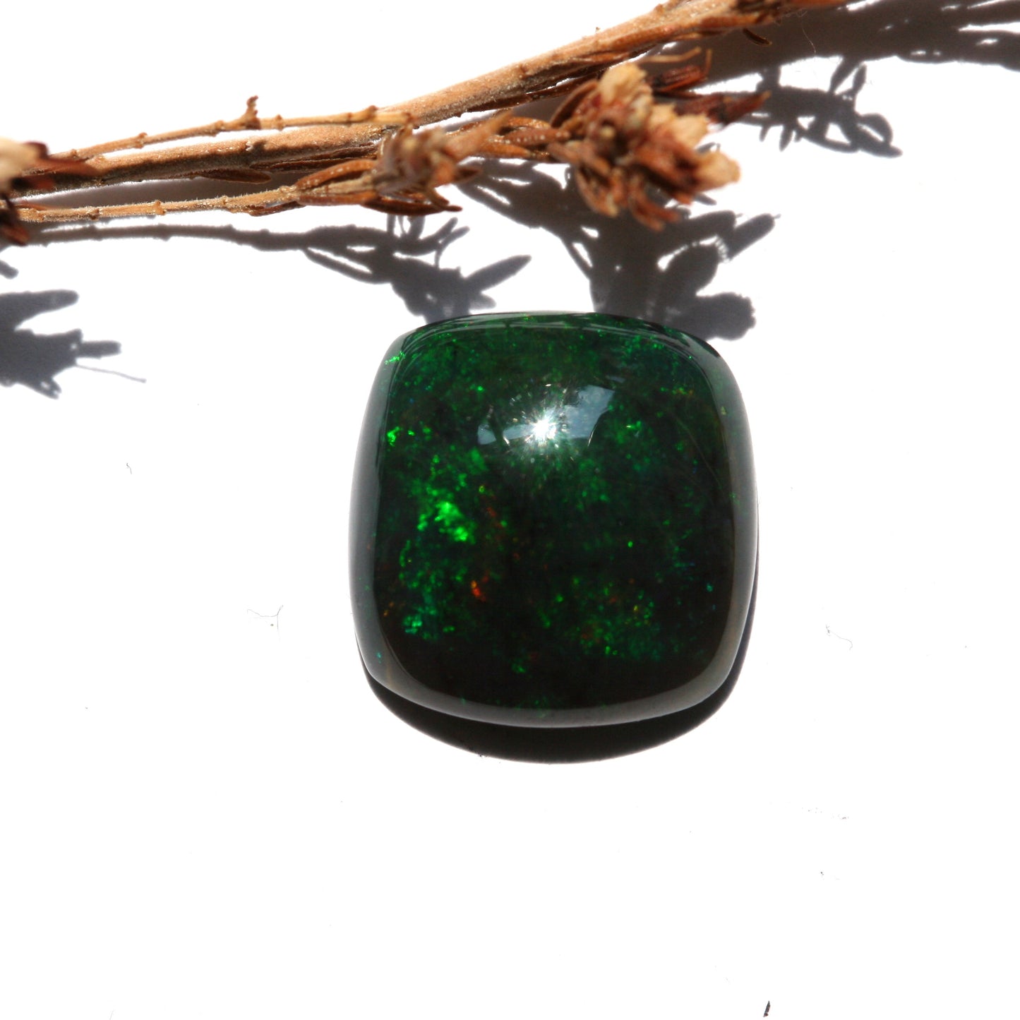 4.8ct Black Opal - Cushion Cabochon - 13.9x13.5mm