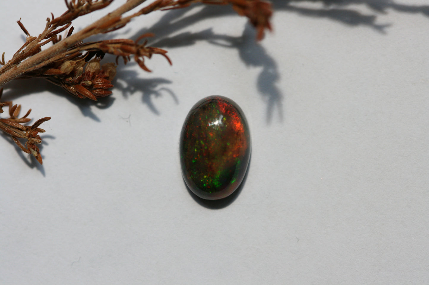 1.6ct Black Opal - Oval Cabochon - 10.2x7mm