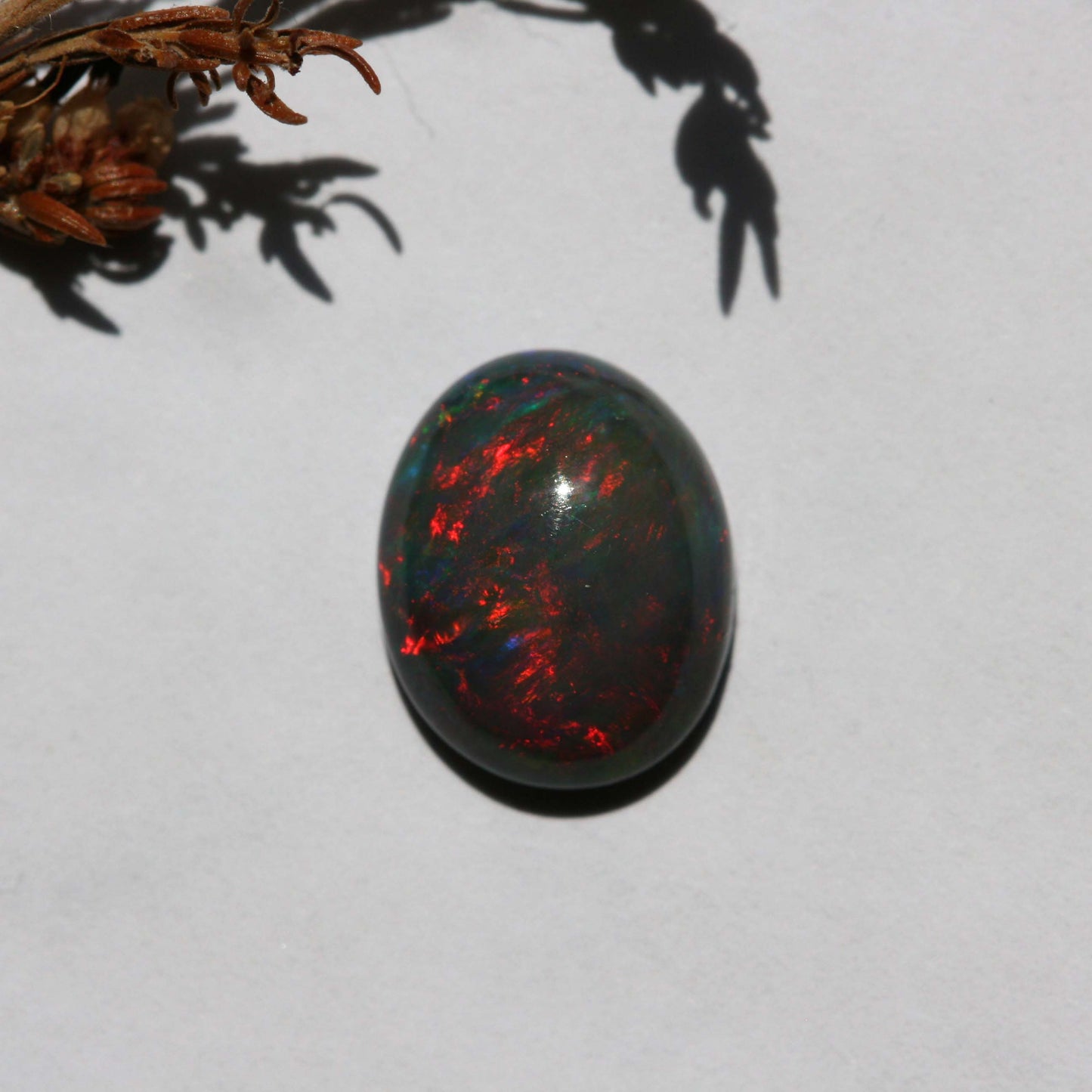 2ct Black Opal - Oval Cabochon - 11.2x9mm
