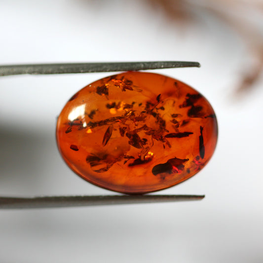 3.6ct Amber - Oval Cabochon - 16x12mm