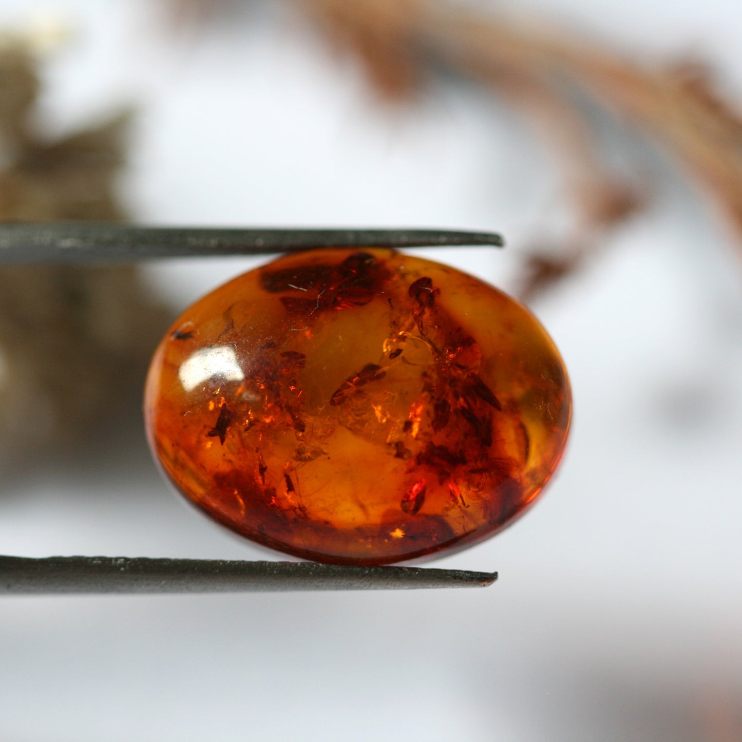 3.5ct Amber - Oval Cabochon - 16x12mm